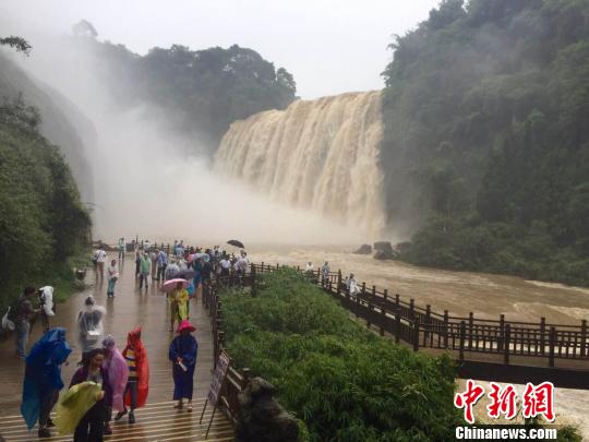 60余名臺(tái)商雨中觀黃果樹瀑布看好貴州旅遊發(fā)展前景