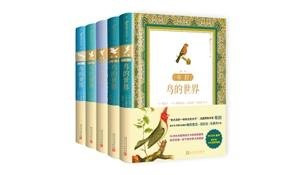 歷經(jīng)250年，《布封：鳥的世界》首推中文版