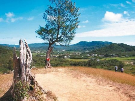 颱風(fēng)吹散屏東“夫妻樹”村民循古禮為“夫樹”續(xù)弦