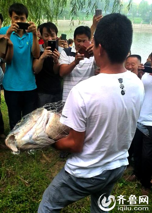 山東一小夥釣40斤重青魚 承包老闆獎(jiǎng)千元放生