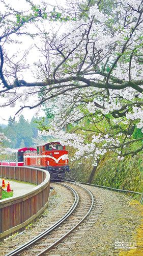 大陸赴臺遊客持續(xù)增長兩岸旅遊業(yè)各自強(qiáng)力推銷