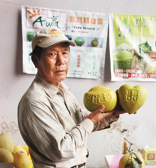 臺南大白柚走文創(chuàng)風造型特異招財帶“囍”（圖）