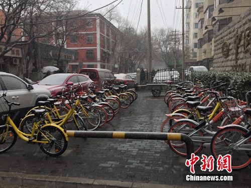 風(fēng)雪中的共用單車。<a target='_blank'  _fcksavedurl='http://www.chinanews.com/' ></table><p  align=