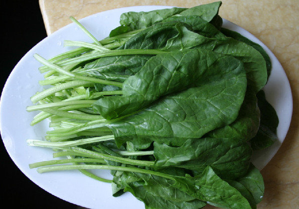 海帶護髮雞蛋護甲 10種養(yǎng)生食物對女人最有用