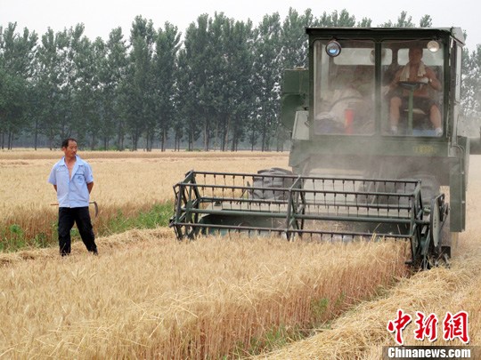 多個(gè)糧食主産區(qū)量減價(jià)跌一些地方虧損嚴(yán)重