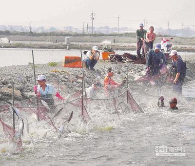 2014臺(tái)灣彌陀港虱目魚節(jié) 下月初將登場（圖）