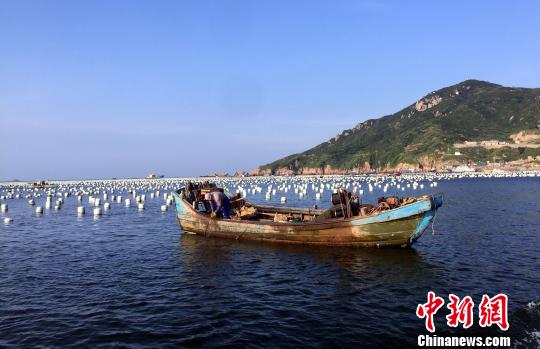 浙江嵊泗：保護“東海魚倉”打造“海上牧場”