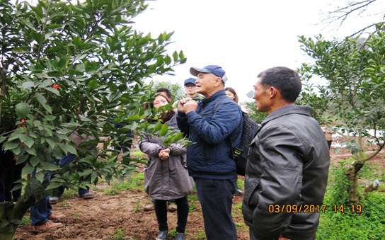 四川新津臺創(chuàng)園臺灣專家顧問團在新津開展産業(yè)指導工作