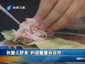 臺(tái)灣 秋蟹正肥美 料理蟹膏有訣竅