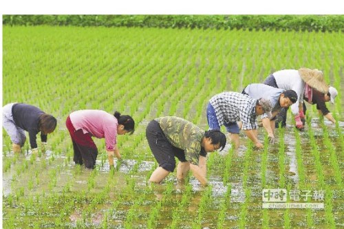 不做憂鬱有錢人臺(tái)灣憨農(nóng)夫捍衛(wèi)彈藥庫“綠寶石”