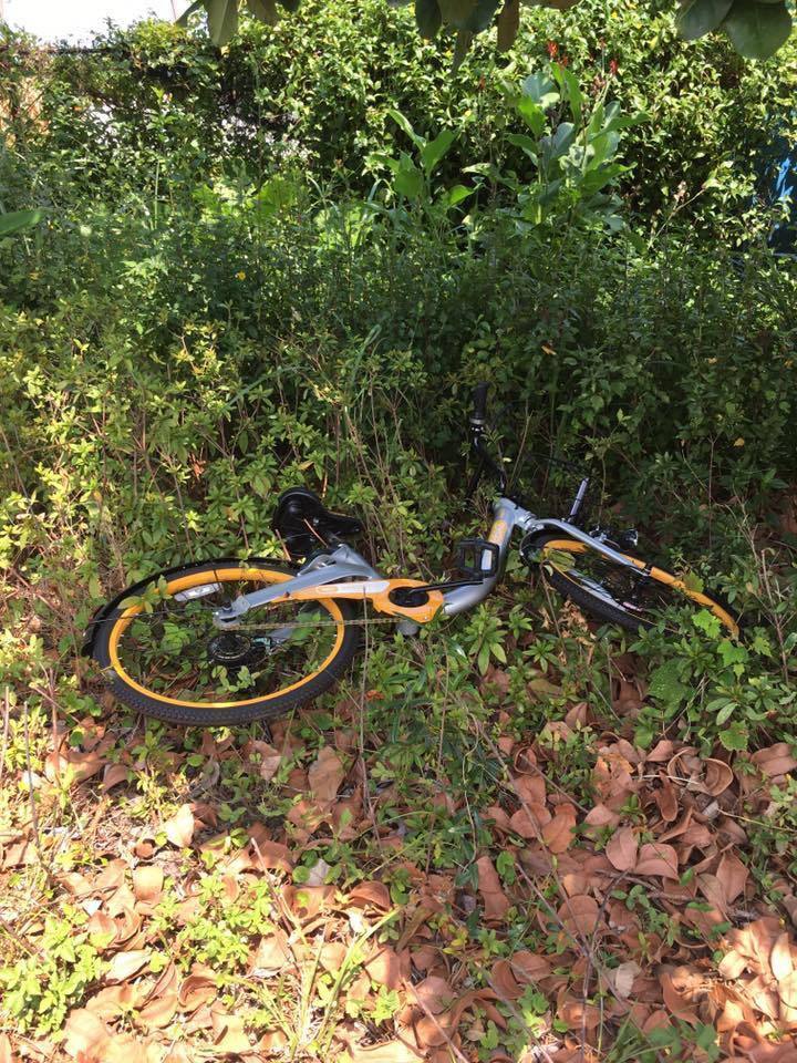 臺灣共用單車oBike遭惡搞 數(shù)十輛車被丟進溪裏泡水