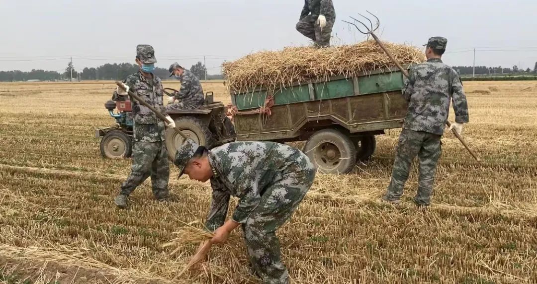 肖思遠(yuǎn)父母為啥偷偷收麥子？真相是……