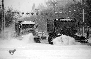 2月19日，在新疆阿勒泰地區(qū)布爾津縣城，清雪車在清掃路面積雪。新華社發(fā)