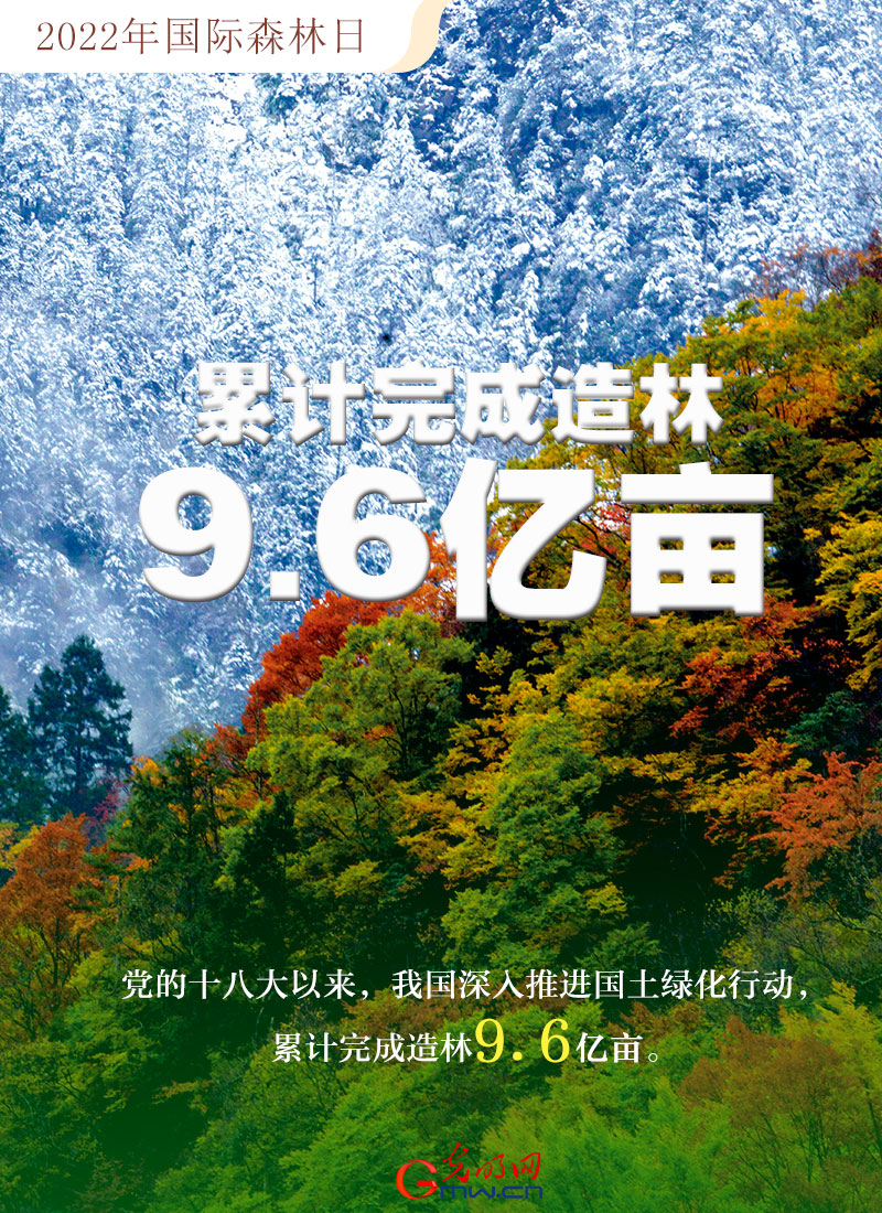 【海報(bào)】2022國(guó)際森林日：數(shù)讀全球增綠的中國(guó)貢獻(xiàn)