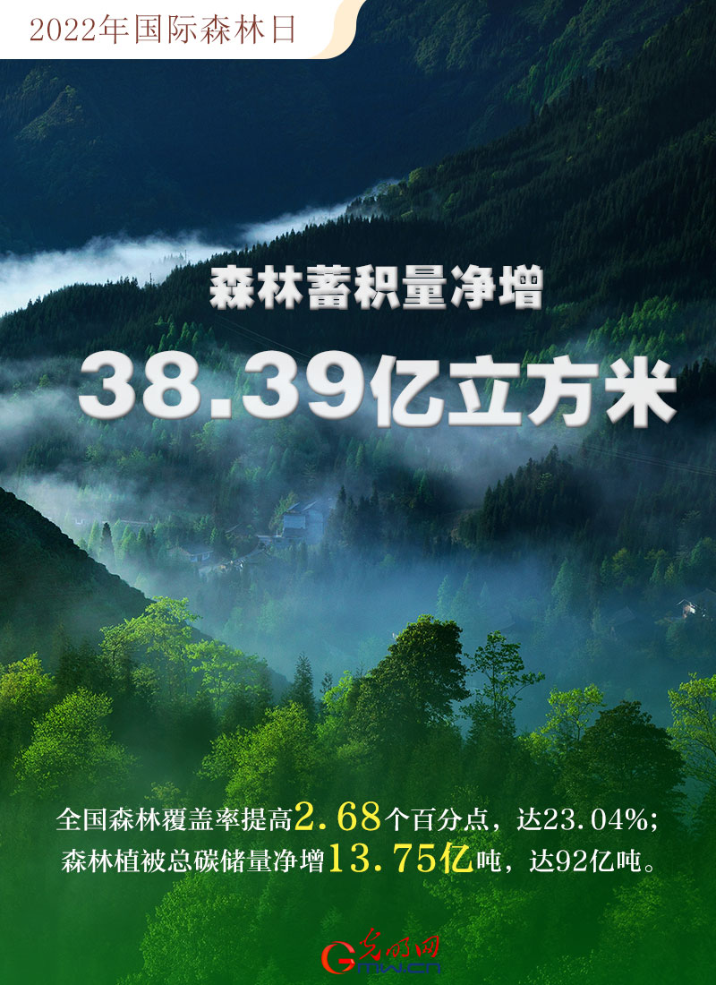 【海報(bào)】2022國(guó)際森林日：數(shù)讀全球增綠的中國(guó)貢獻(xiàn)