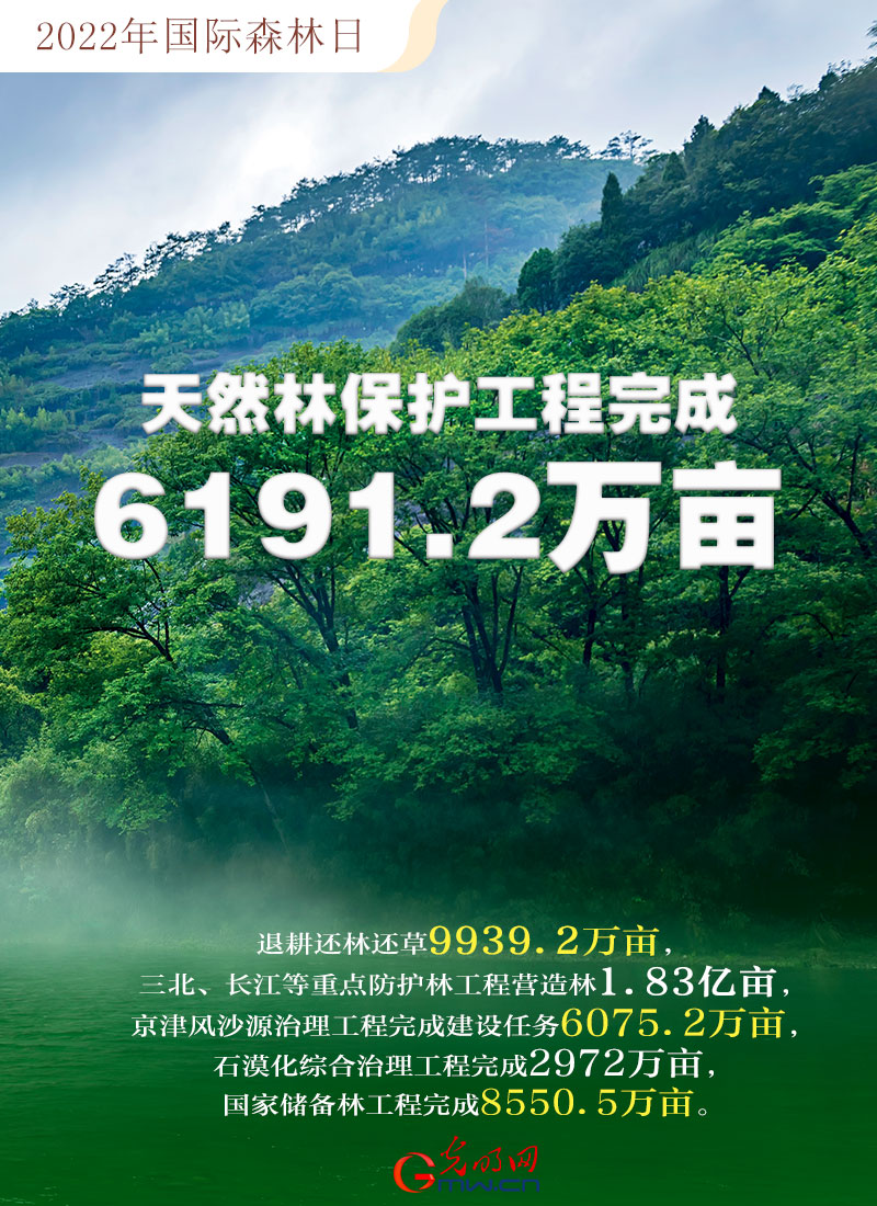 【海報(bào)】2022國(guó)際森林日：數(shù)讀全球增綠的中國(guó)貢獻(xiàn)