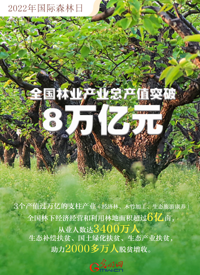 【海報(bào)】2022國(guó)際森林日：數(shù)讀全球增綠的中國(guó)貢獻(xiàn)