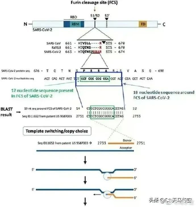 突發(fā)：英媒宣稱，研究證實(shí)新冠病毒是美國公司製造