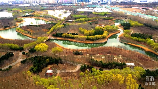 △當(dāng)天的植樹點(diǎn)位於大興新城城市休閒公園。（總臺(tái)央視記者劉岳、陸博第拍攝）