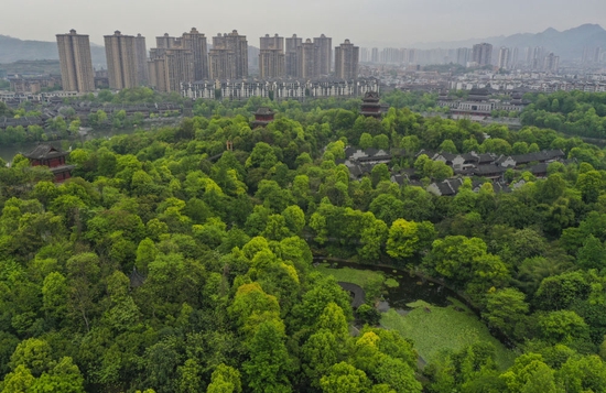 重慶璧山秀湖濕地公園景色（3月29日攝，無人機照片）。新華社記者 王全超 攝