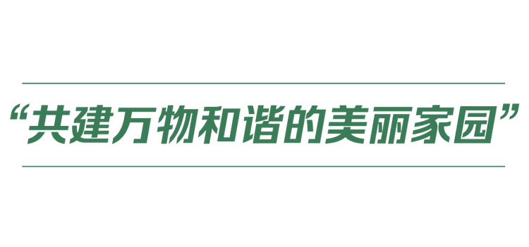 中國式現(xiàn)代化丨人與自然和諧共生