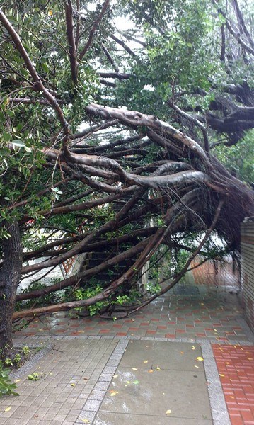 梅雨季造成臺(tái)灣中部豪雨成災(zāi)