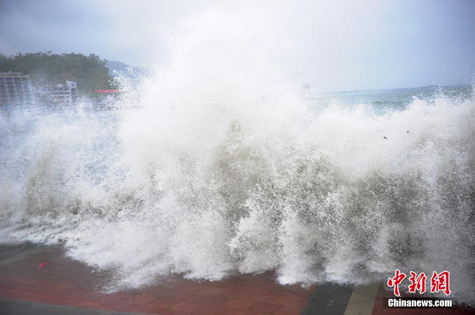 颱風(fēng)“妮妲”襲擊深圳 海邊掀數(shù)米巨浪[組圖]