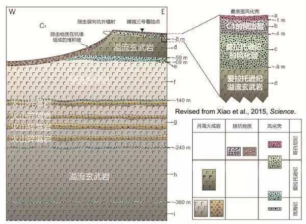 與孤獨(dú)鬥爭(zhēng)972天 那只頑強(qiáng)的兔子永遠(yuǎn)離開(kāi)了我們