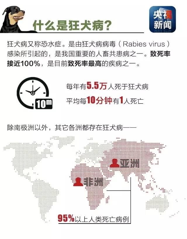 狂犬病致死率接近100%！了解這些知識(shí)讓你遠(yuǎn)離它！