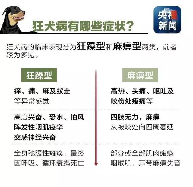 狂犬病致死率接近100%！了解這些知識(shí)讓你遠(yuǎn)離它！