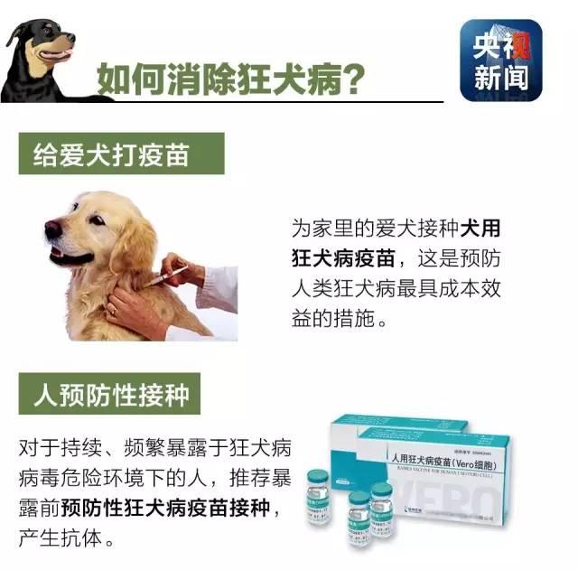 狂犬病致死率接近100%！了解這些知識(shí)讓你遠(yuǎn)離它！