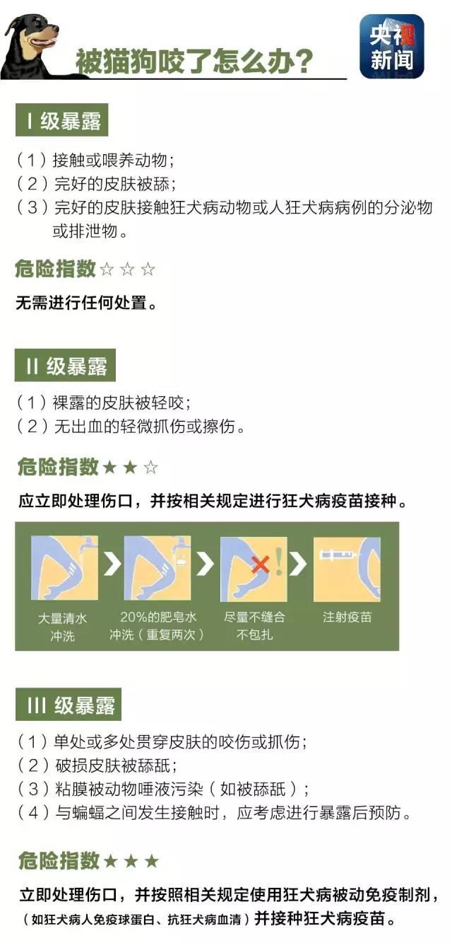 狂犬病致死率接近100%！了解這些知識(shí)讓你遠(yuǎn)離它！