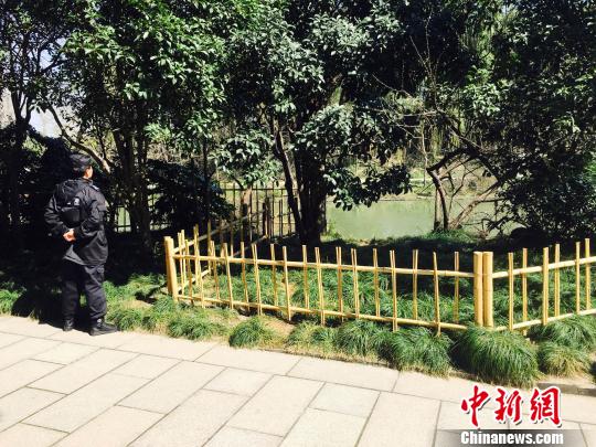 揚(yáng)州瘦西湖景區(qū)黑天鵝被虐警方正全力尋肇事遊客