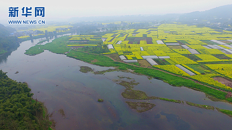 (網(wǎng)路媒體走轉(zhuǎn)改)樂山峨眉河 春來踏青好去處