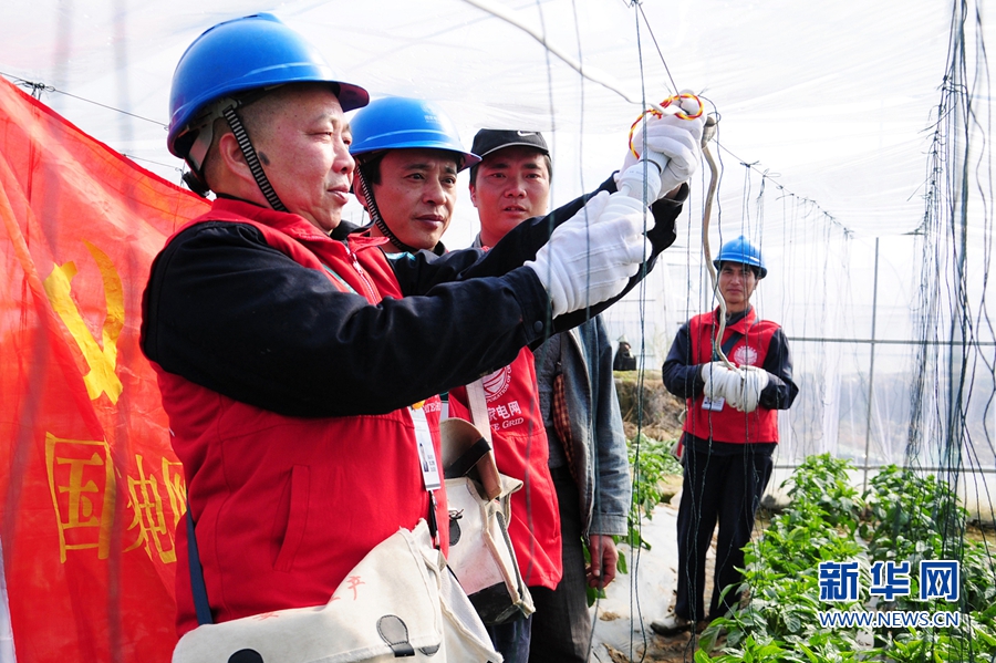 (網(wǎng)路媒體走轉(zhuǎn)改)福建建甌有支春耕保電服務(wù)隊 解菜農(nóng)後顧之憂