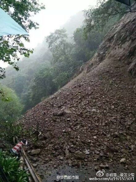 峨眉山景區(qū)樹斷傷人