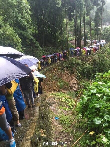 峨眉山景區(qū)樹斷傷人