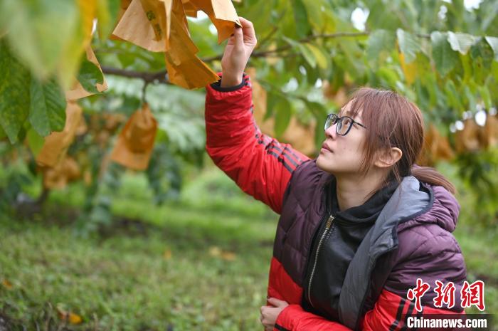 臺(tái)灣女碩士紮根廣西十年成新“農(nóng)”人