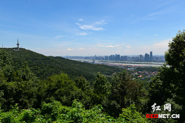 從岳麓山頂俯瞰長(zhǎng)沙，山水洲城的景色盡收眼底。從1939年9月到1944年8月期間，中國(guó)軍隊(duì)與侵華日軍在以長(zhǎng)沙為中心的第九戰(zhàn)區(qū)進(jìn)行了4次大規(guī)模的激烈攻防戰(zhàn)，史稱“長(zhǎng)沙會(huì)戰(zhàn)”。